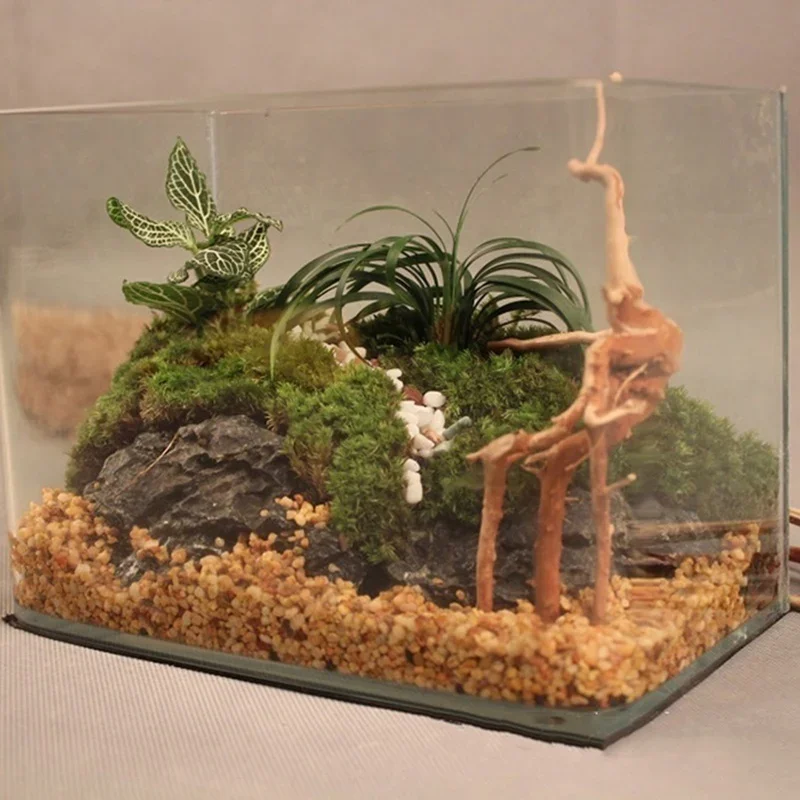 Doğal ağaç gövdesi Driftwood a - Marine Aquarium All In One incelemesi ve fiyatı