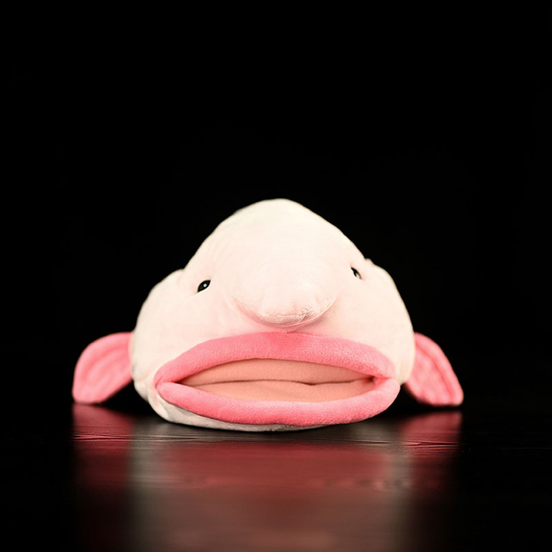 Simüle Hayvan Blobfish Deniz O - Aquarium And Marine Museum incelemesi ve fiyatı